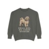 havanese-sweatshirt-humor-pepper Havanese Humor Sweatshirt, Pepper, front view