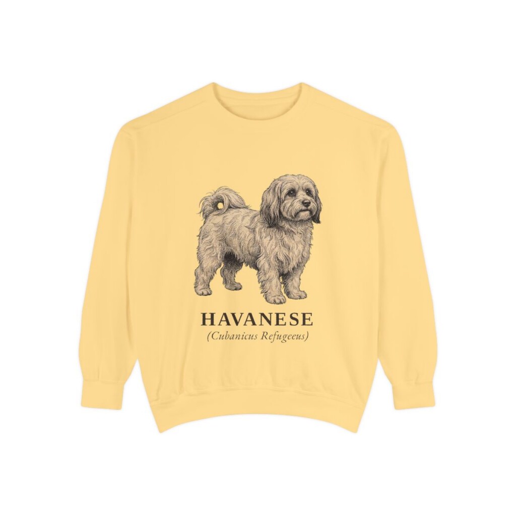 Havanese Latin Sweatshirt, Butter, front view