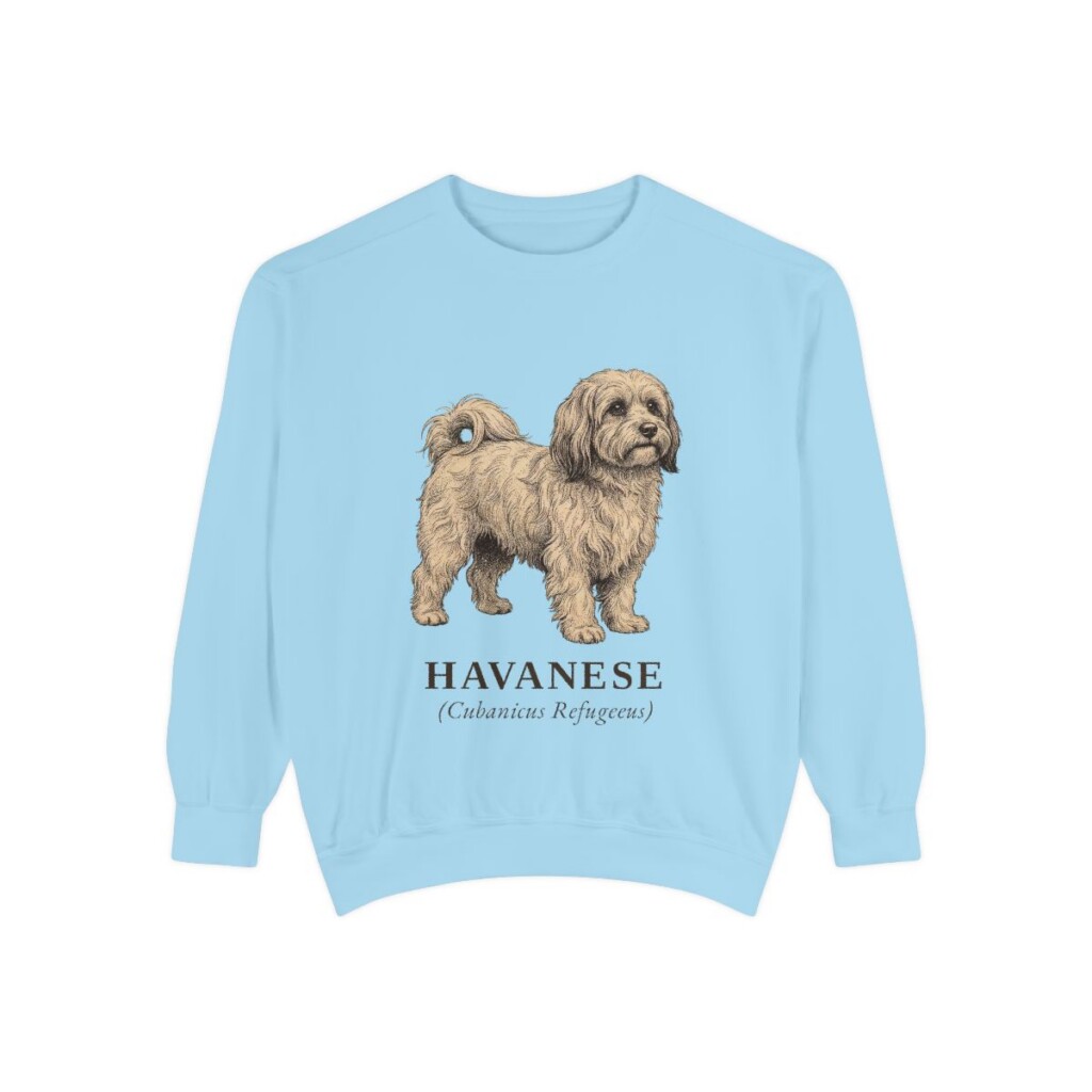 Havanese Latin Sweatshirt, Chambray, front view