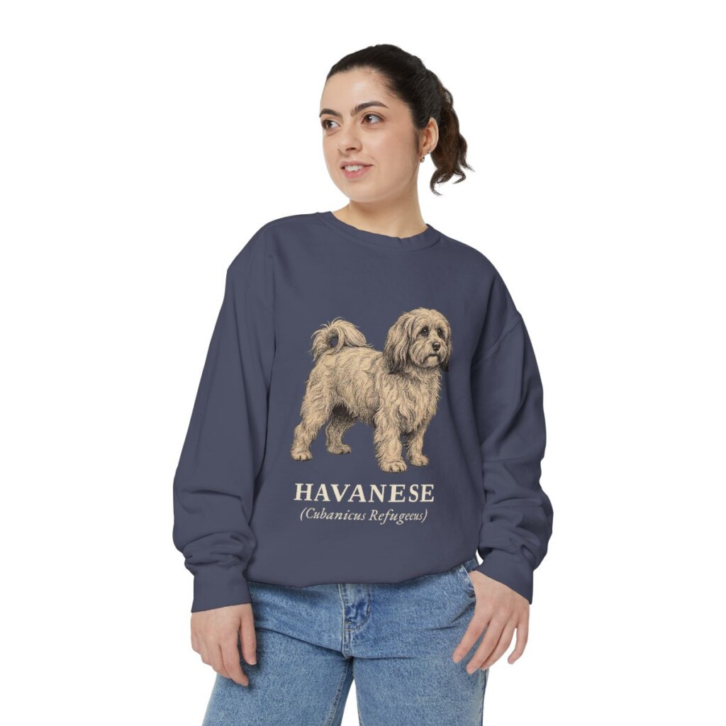 Havanese Latin Sweatshirt, Denim, person 2 front