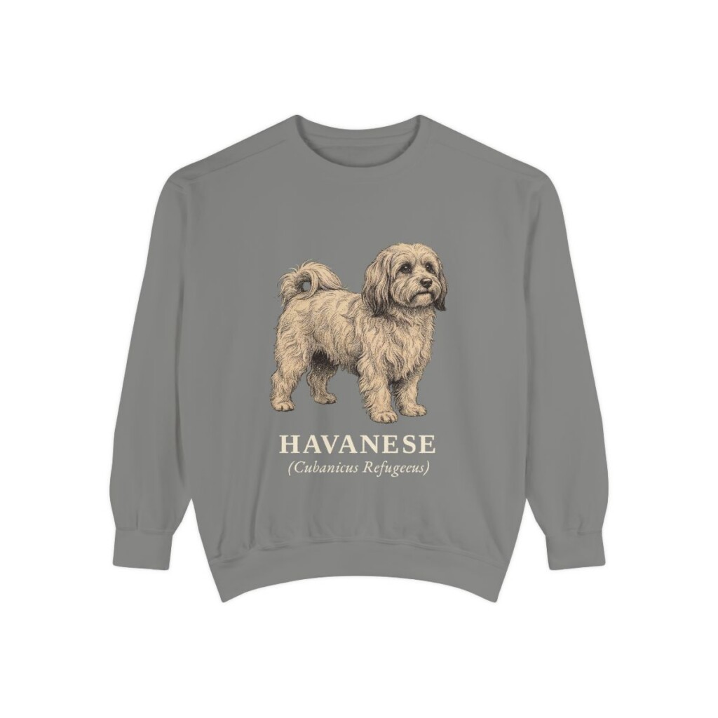 Havanese Latin Sweatshirt, Grey, front view