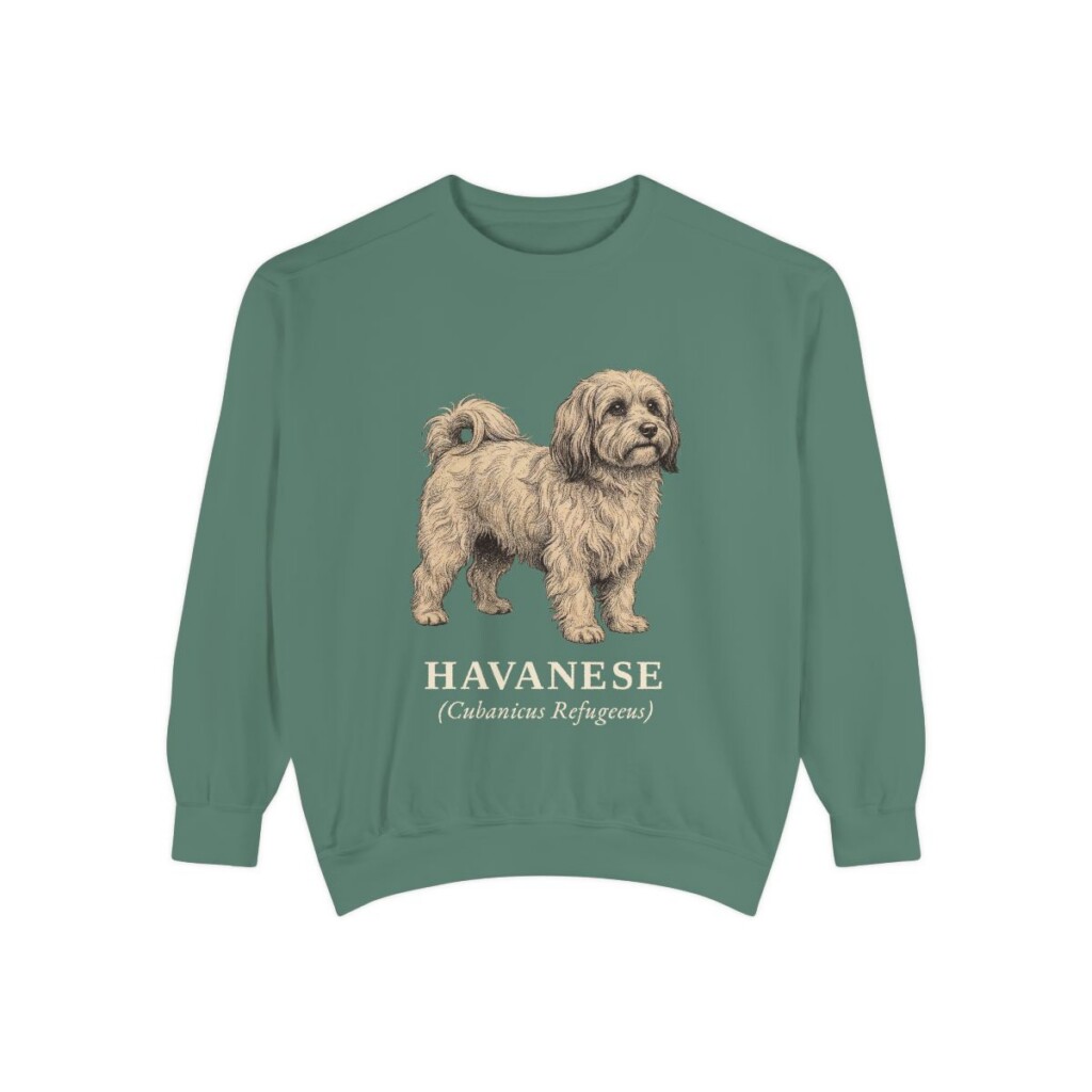 Havanese Latin Sweatshirt, Light Green, front view