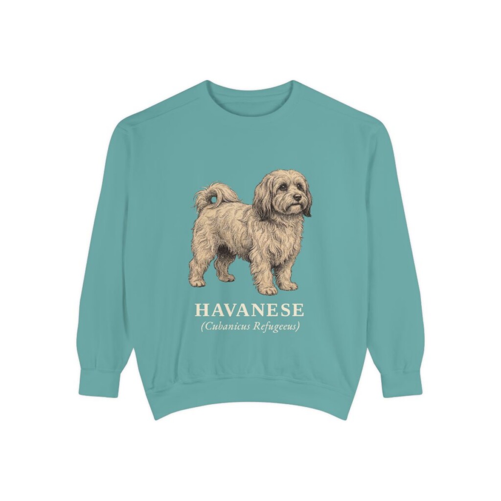 Havanese Latin Sweatshirt, Seafoam, front view
