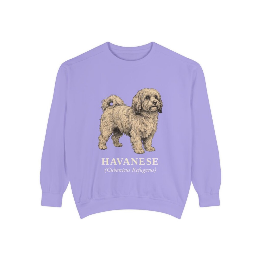 Havanese Latin Sweatshirt, Violet, front view