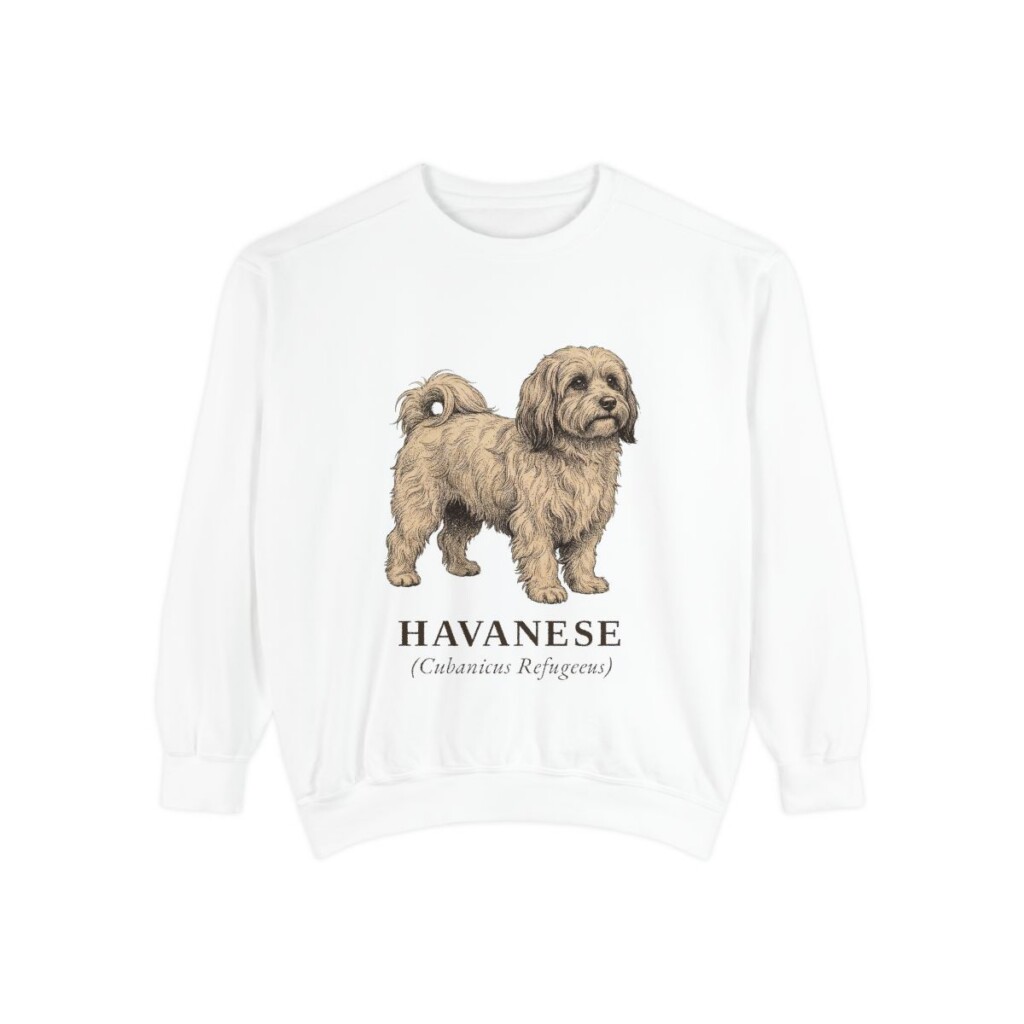 Havanese Latin Sweatshirt, White, front view