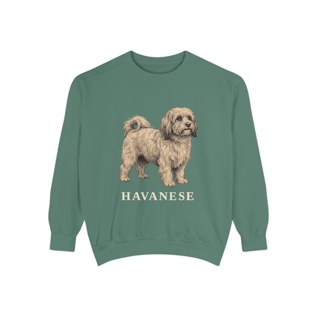 Havanese Sweatshirt, Light Green, front view