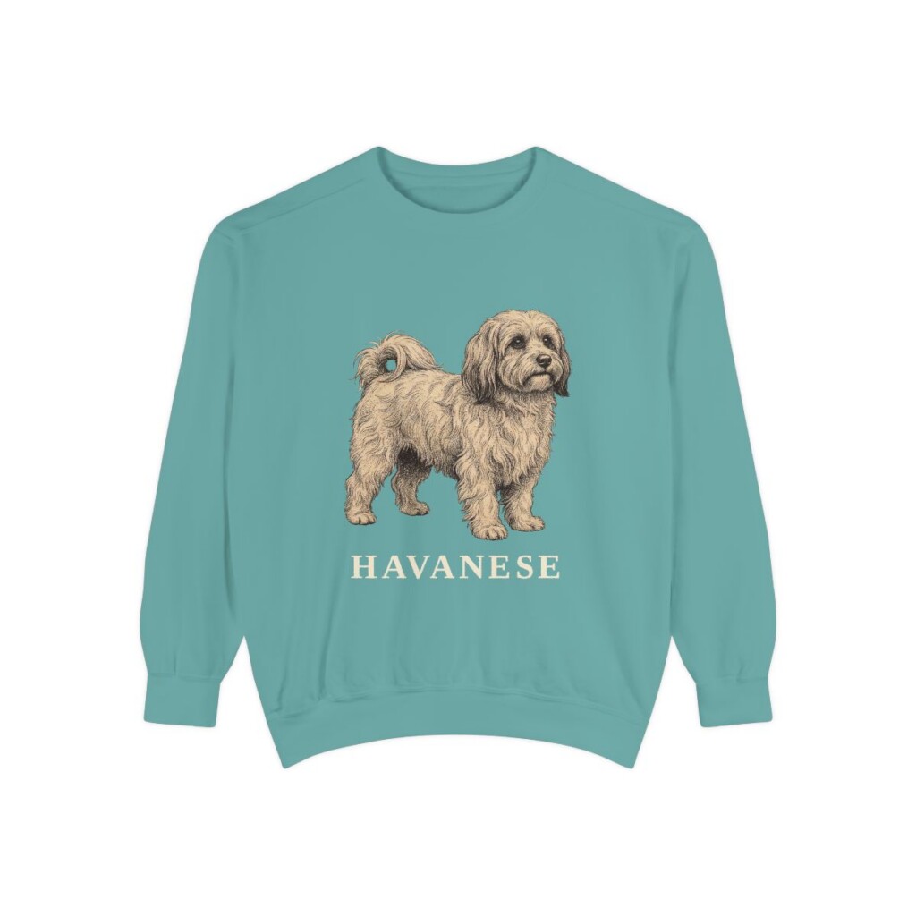 Havanese Sweatshirt, Seafoam, front view