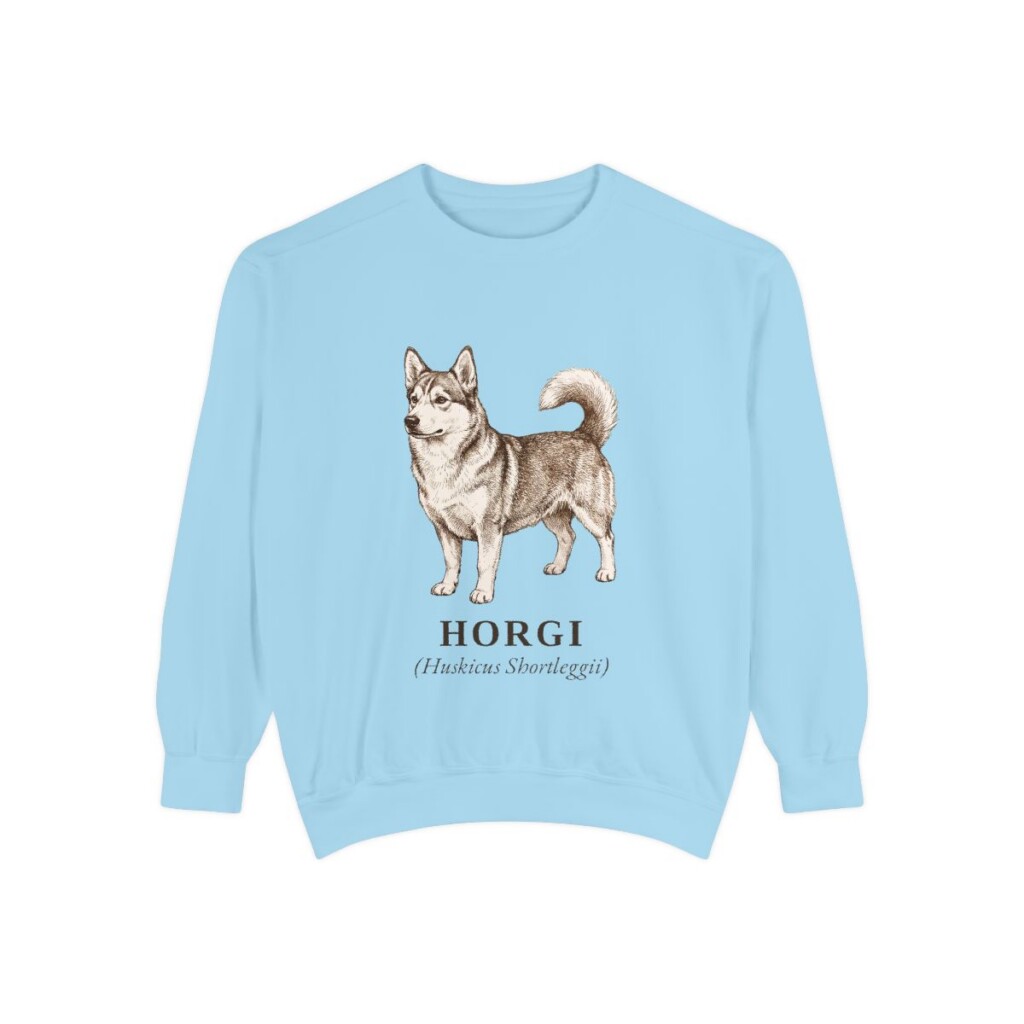 Horgi Latin Sweatshirt, Chambray, front view