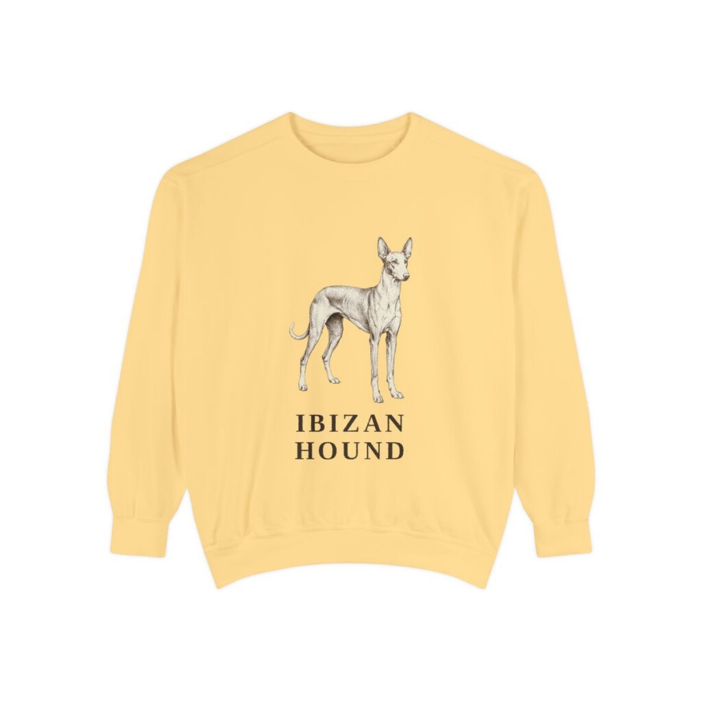 ibizan-hound-sweatshirt-butter Ibizan Hound Sweatshirt, Butter, front view