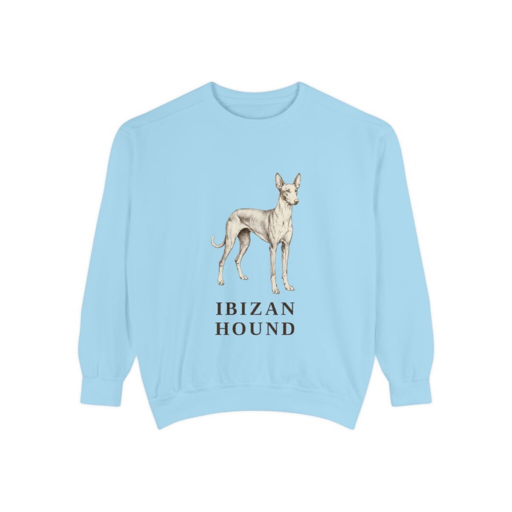 ibizan-hound-sweatshirt-chambray Ibizan Hound Sweatshirt, Chambray, front view