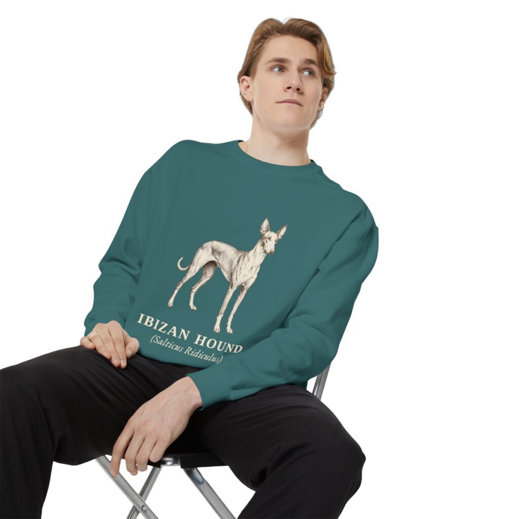 Ibizan Hound Latin Sweatshirt, Blue Spruce, person 1 context