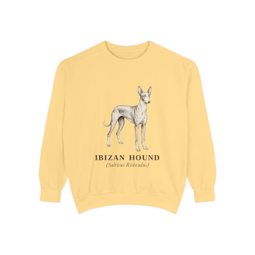Ibizan Hound Latin Sweatshirt, Butter, front view