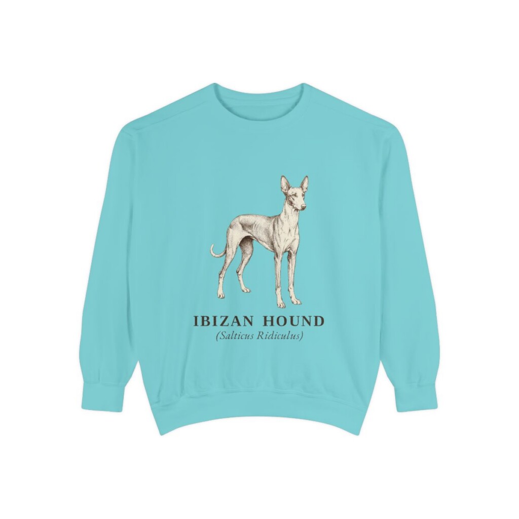Ibizan Hound Latin Sweatshirt, Chalky Mint, front view