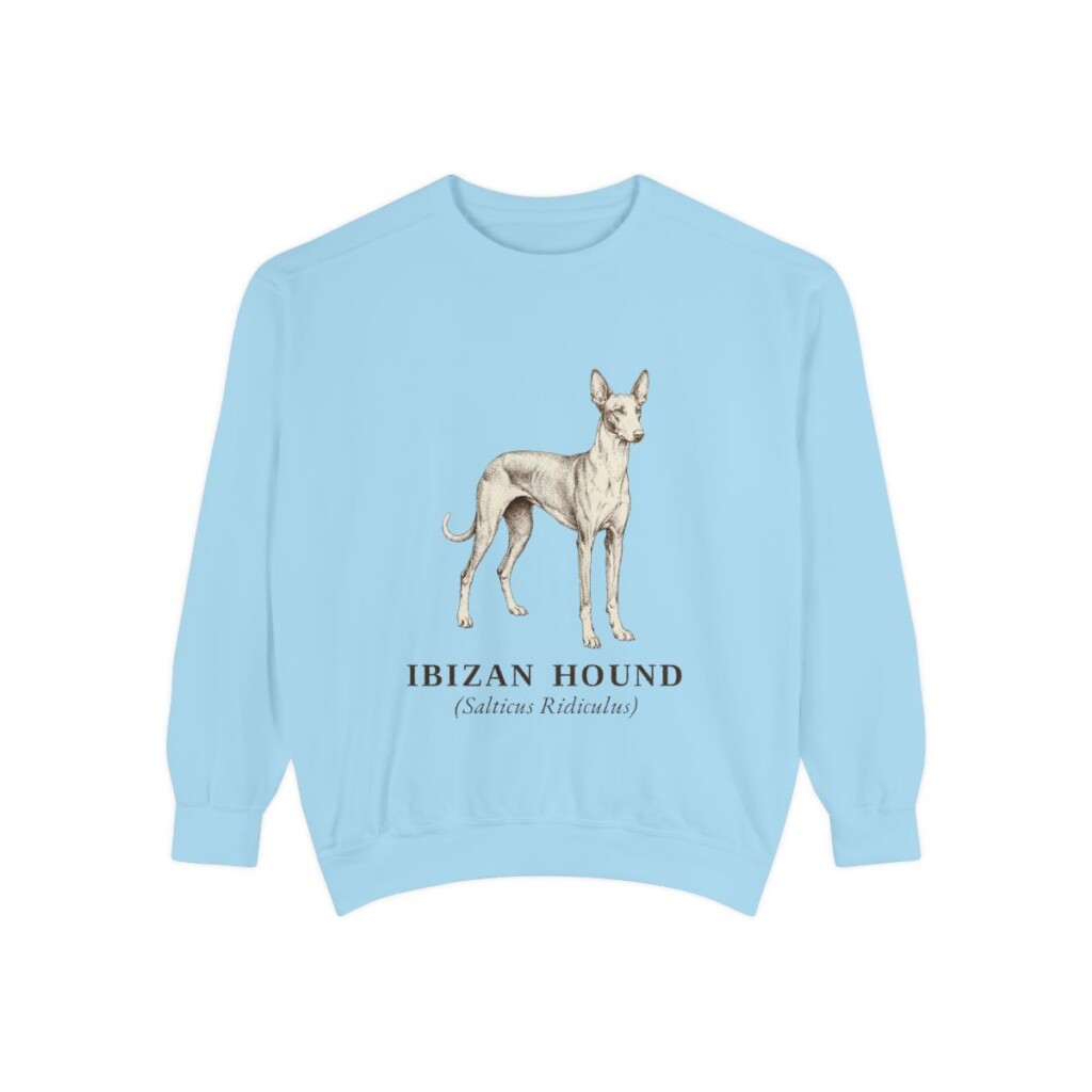 Ibizan Hound Latin Sweatshirt, Chambray, front view