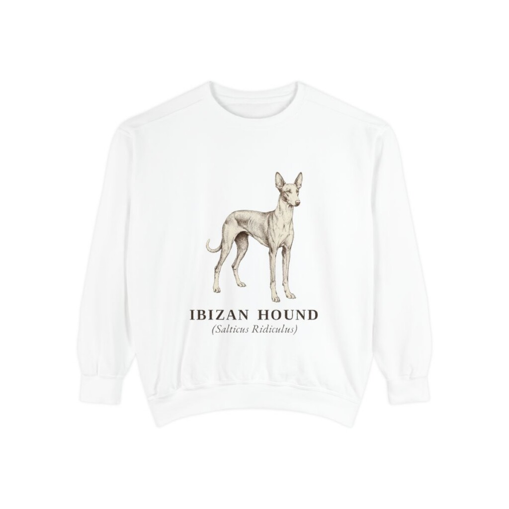 Ibizan Hound Latin Sweatshirt, White, front view