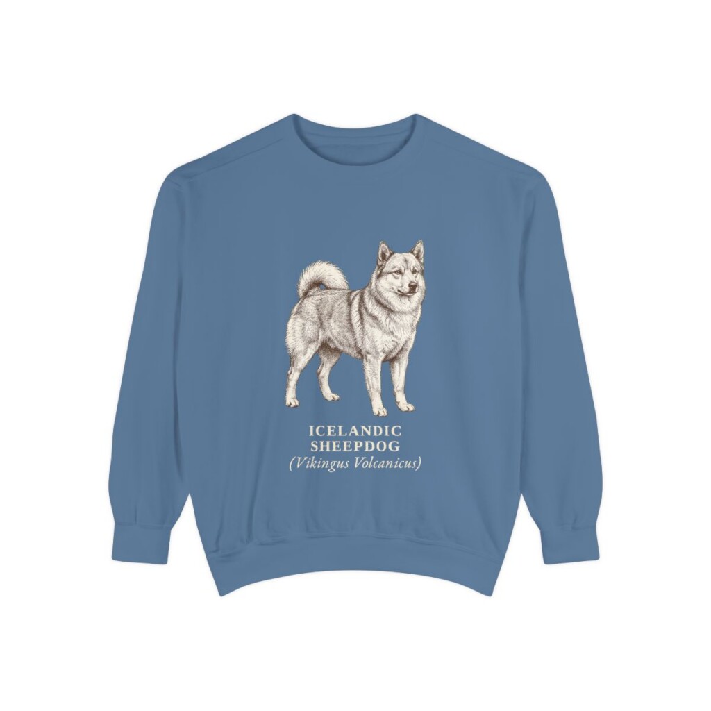 icelandic-sheepdog-sweatshirt-latin-blue-jean Icelandic Sheepdog Latin Sweatshirt, Blue Jean, front view
