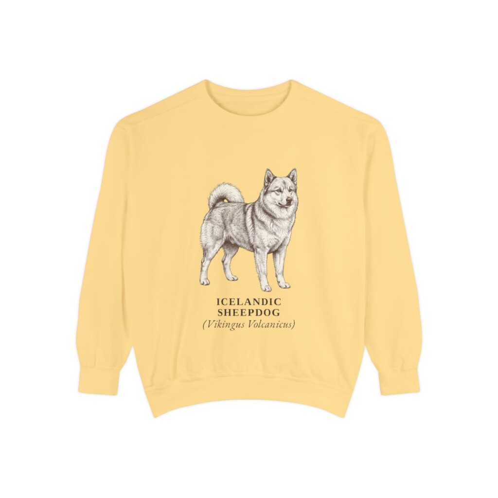 icelandic-sheepdog-sweatshirt-latin-butter Icelandic Sheepdog Latin Sweatshirt, Butter, front view