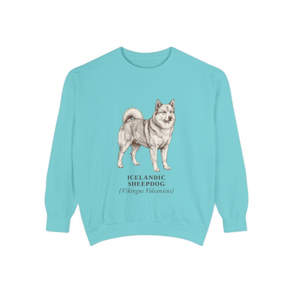 icelandic-sheepdog-sweatshirt-latin-chalky-mint Icelandic Sheepdog Latin Sweatshirt, Chalky Mint, front view