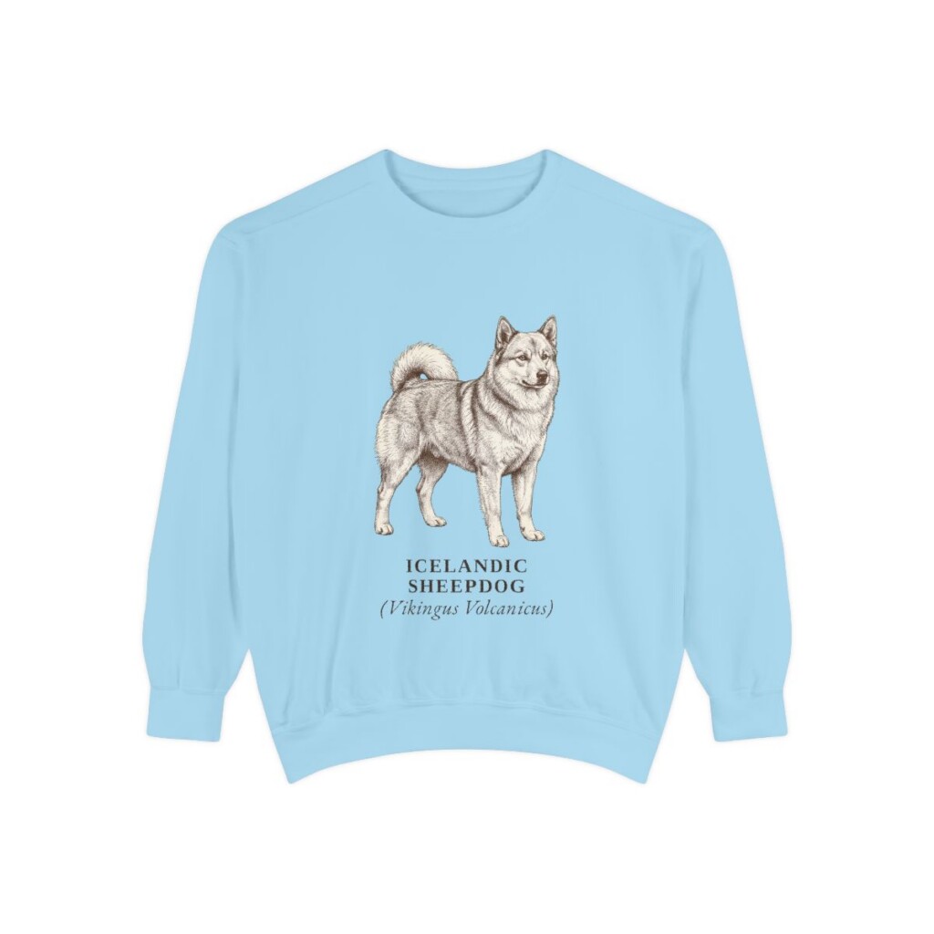 icelandic-sheepdog-sweatshirt-latin-chambray Icelandic Sheepdog Latin Sweatshirt, Chambray, front view