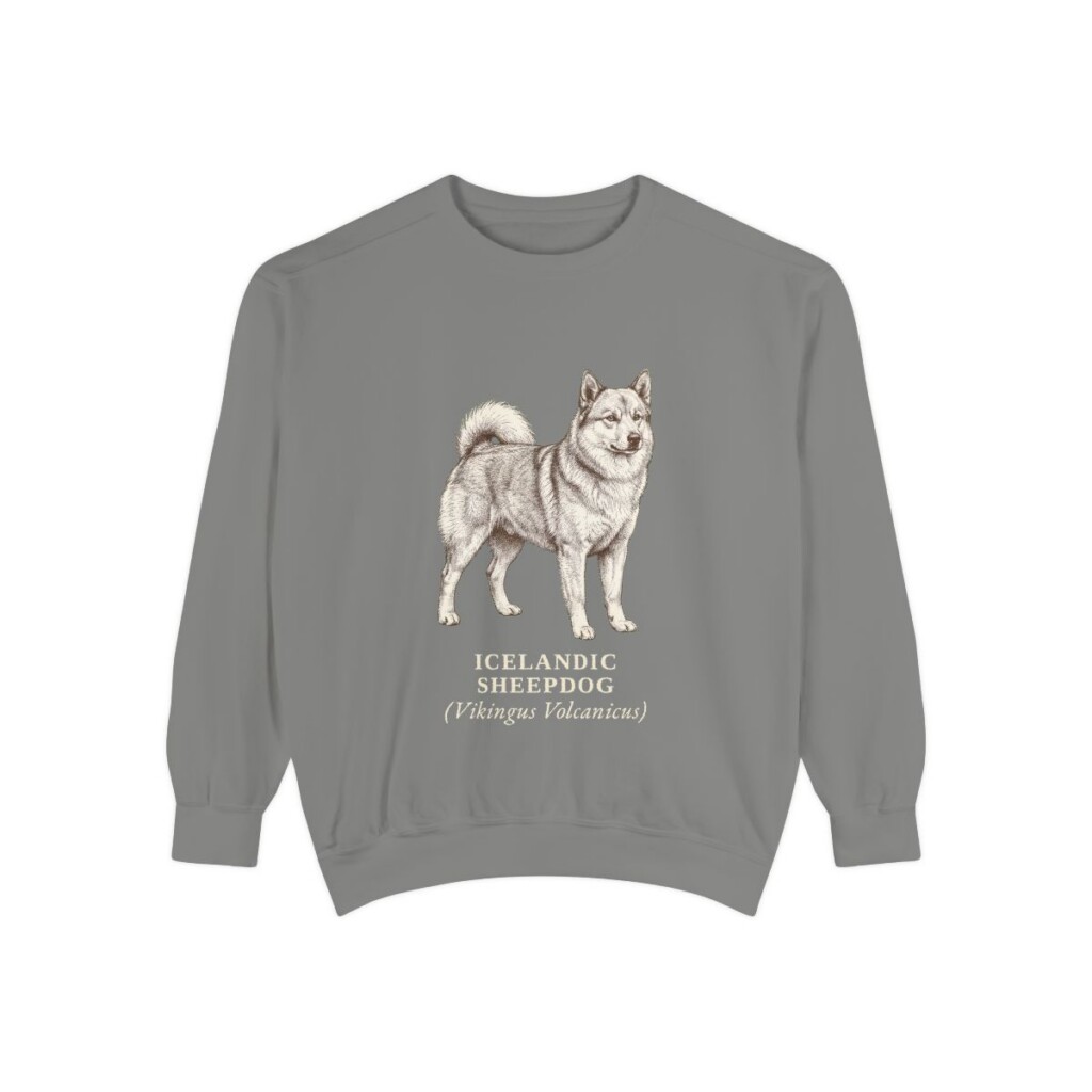 icelandic-sheepdog-sweatshirt-latin-grey Icelandic Sheepdog Latin Sweatshirt, Grey, front view