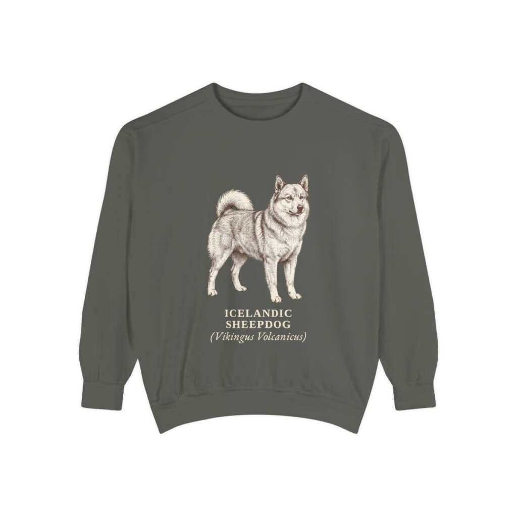 icelandic-sheepdog-sweatshirt-latin-pepper Icelandic Sheepdog Latin Sweatshirt, Pepper, front view