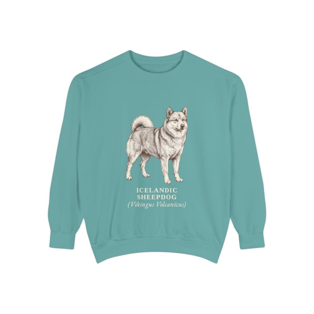 icelandic-sheepdog-sweatshirt-latin-seafoam Icelandic Sheepdog Latin Sweatshirt, Seafoam, front view
