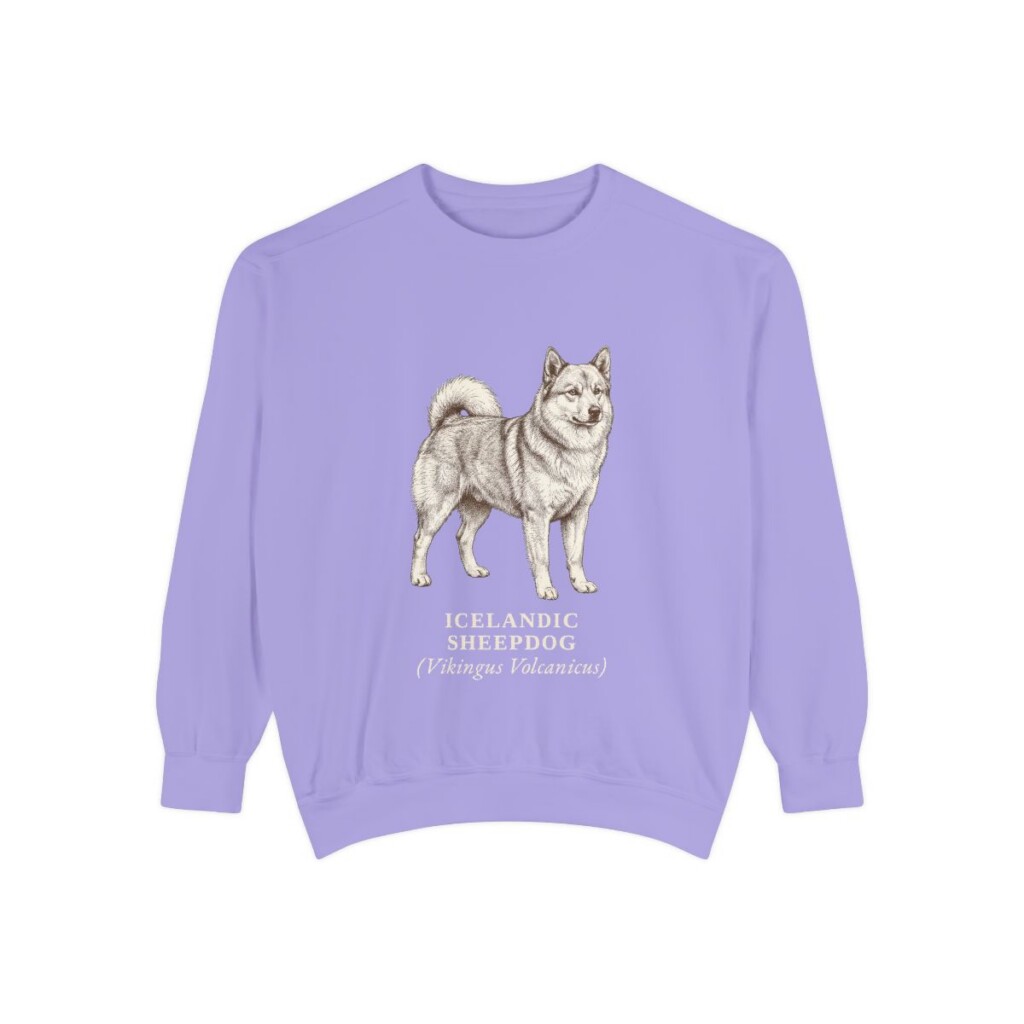 icelandic-sheepdog-sweatshirt-latin-violet Icelandic Sheepdog Latin Sweatshirt, Violet, front view