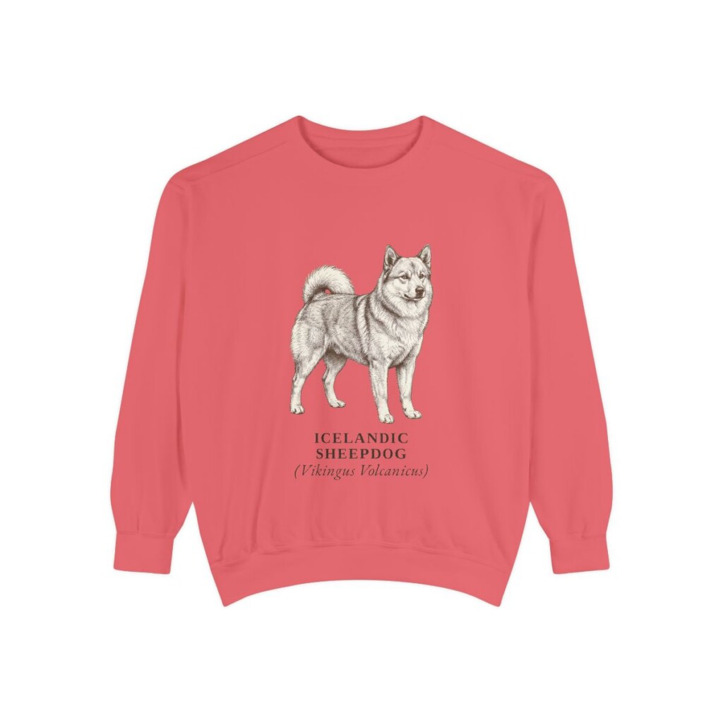 icelandic-sheepdog-sweatshirt-latin-watermelon Icelandic Sheepdog Latin Sweatshirt, Watermelon, front view