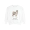 icelandic-sheepdog-sweatshirt-latin-white Icelandic Sheepdog Latin Sweatshirt, White, front view