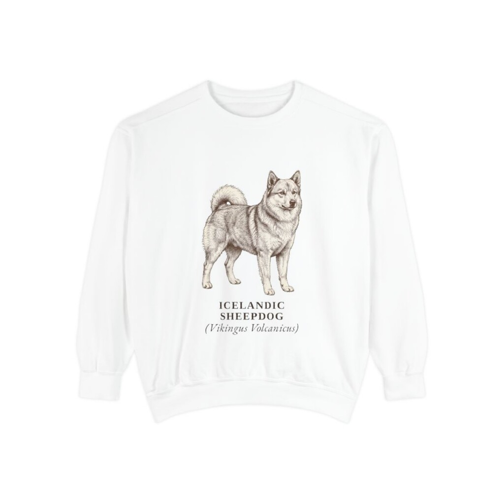 icelandic-sheepdog-sweatshirt-latin-white Icelandic Sheepdog Latin Sweatshirt, White, front view