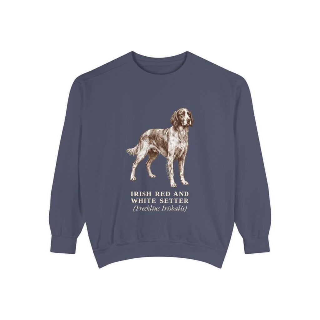 Irish Red and White Setter Latin Sweatshirt, Denim, front view