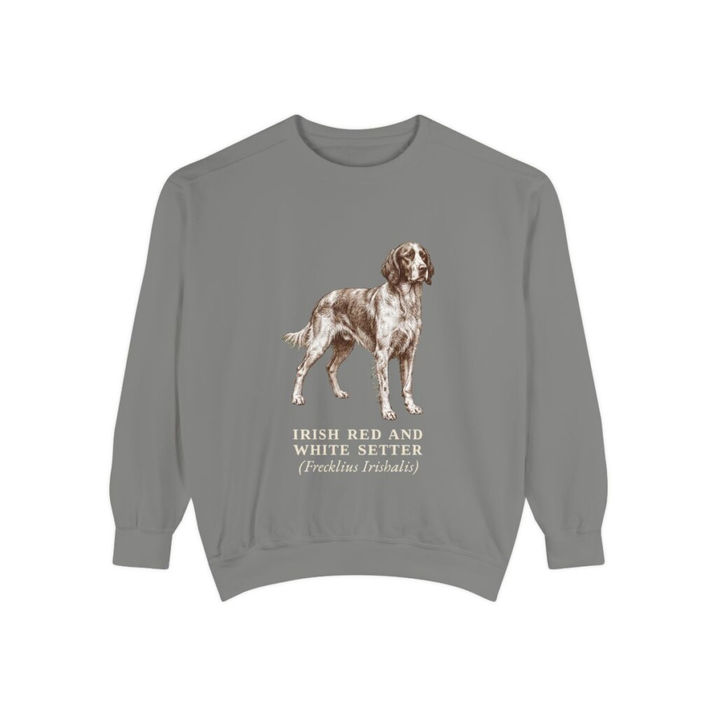 Irish Red and White Setter Latin Sweatshirt, Grey, front view