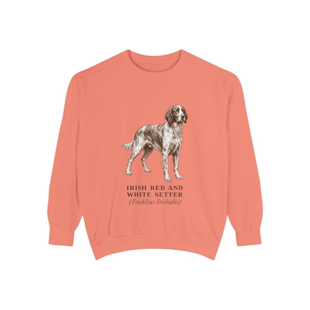 Irish Red and White Setter Latin Sweatshirt, Terracotta, front view