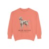 Irish Setter Latin Sweatshirt, Terracotta, front view