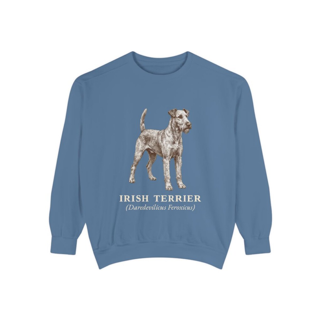 Irish Terrier Latin Sweatshirt, Blue Jean, front view