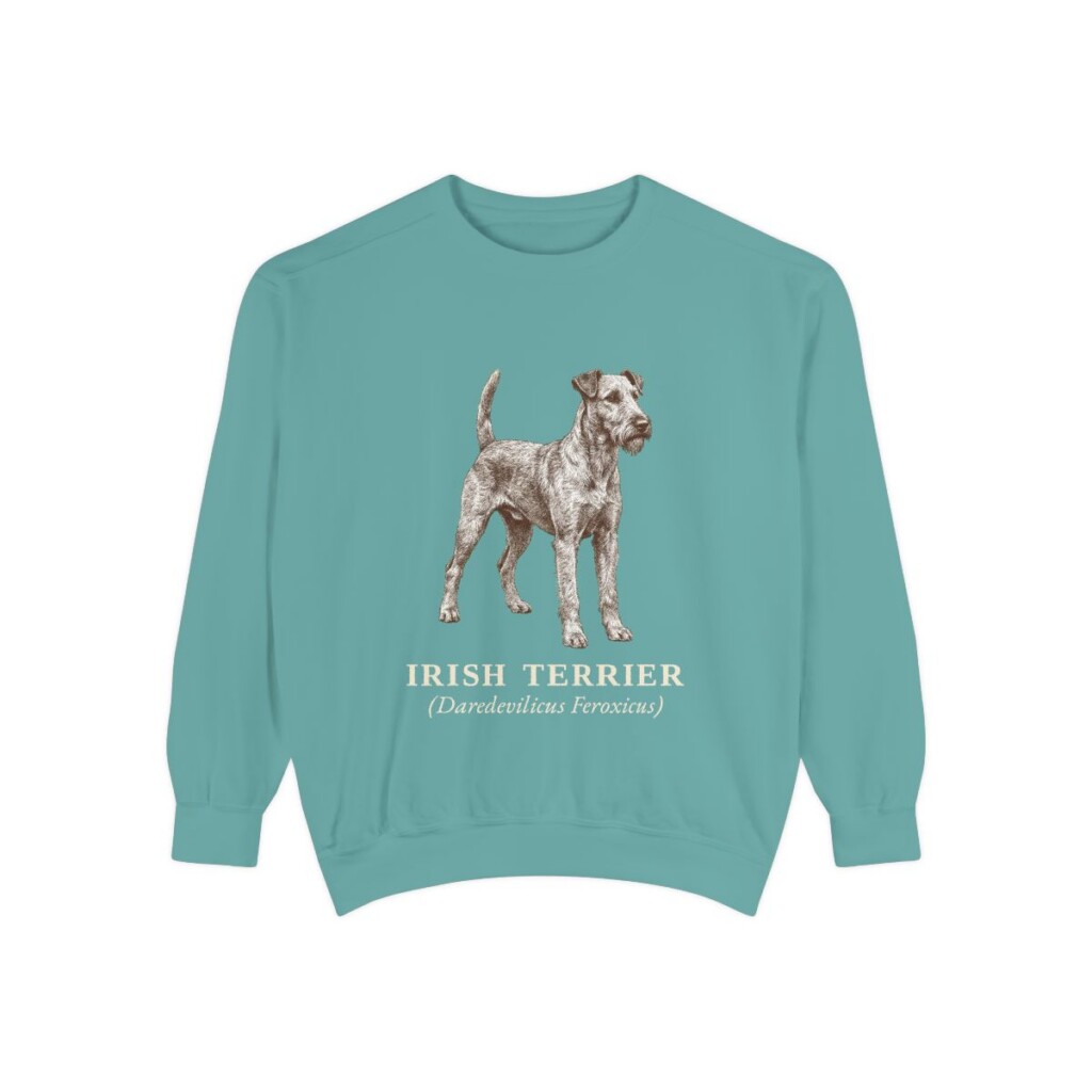 Irish Terrier Latin Sweatshirt, Seafoam, front view