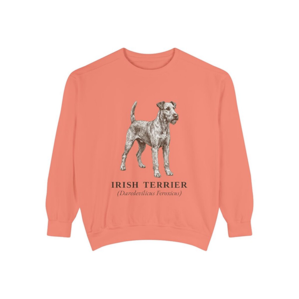 Irish Terrier Latin Sweatshirt, Terracotta, front view