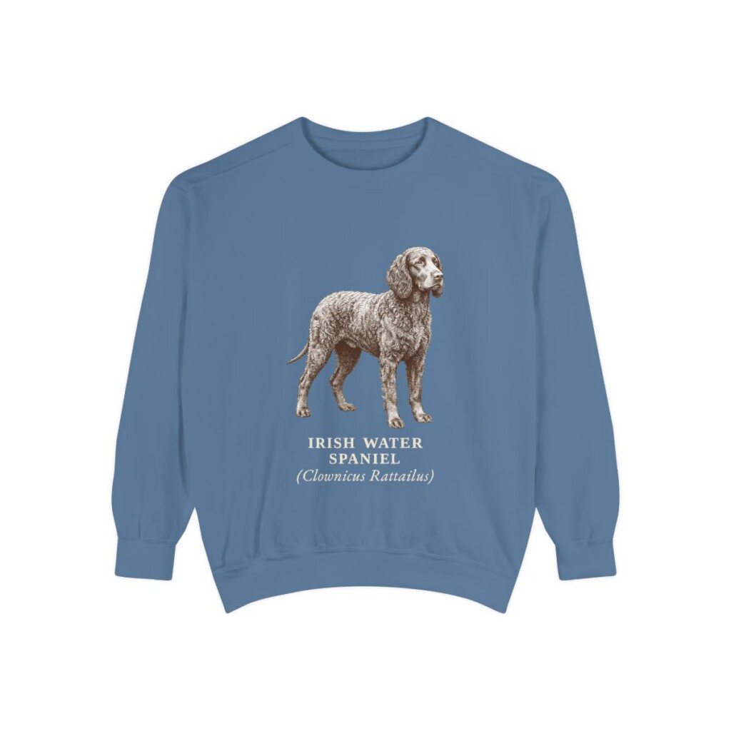 Irish Water Spaniel Latin Sweatshirt, Blue Jean, front view
