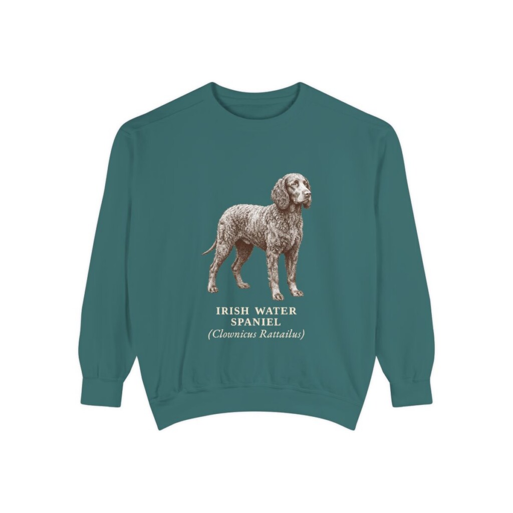 Irish Water Spaniel Latin Sweatshirt, Blue Spruce, front view