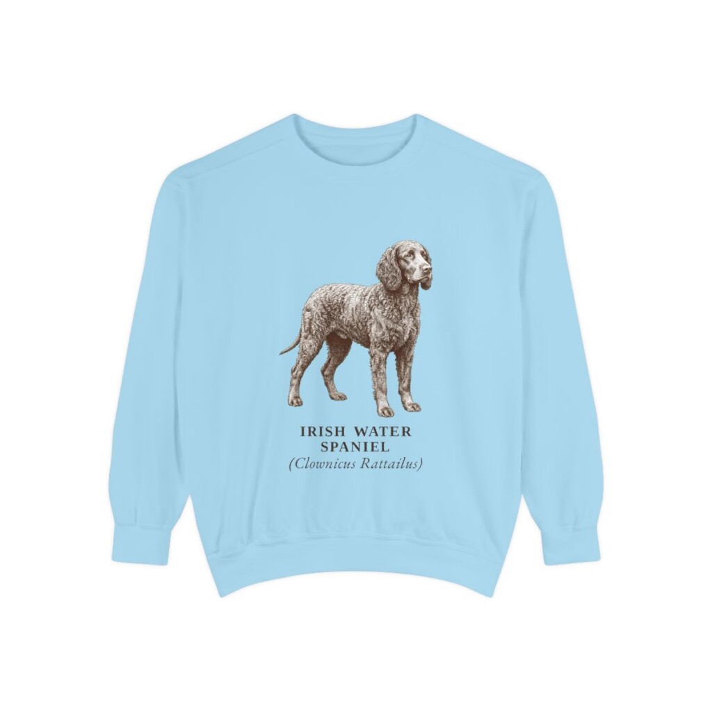 Irish Water Spaniel Latin Sweatshirt, Chambray, front view