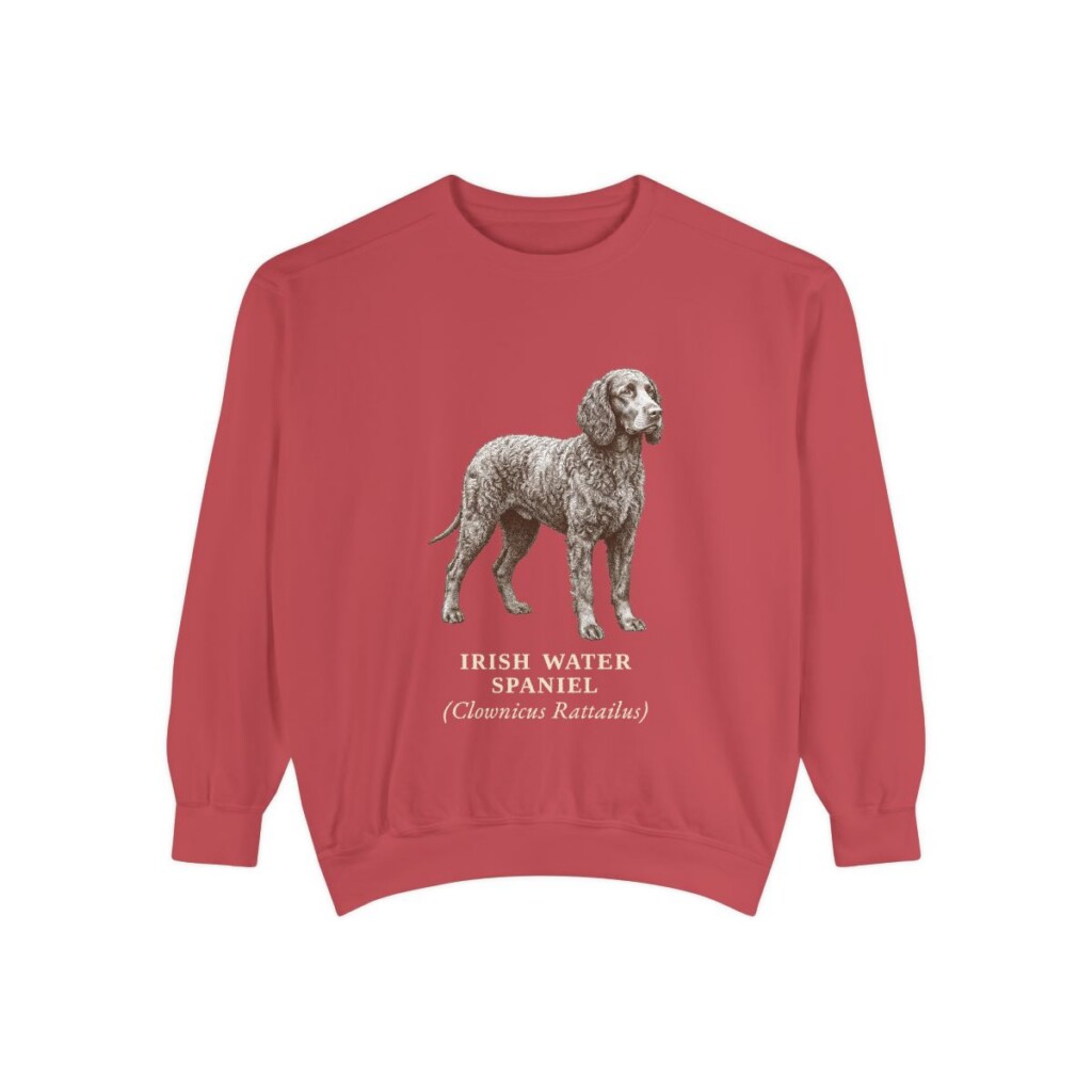 Irish Water Spaniel Latin Sweatshirt, Crimson, front view