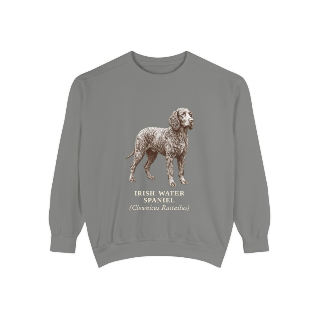 Irish Water Spaniel Latin Sweatshirt, Grey, front view