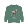 Irish Water Spaniel Latin Sweatshirt, Light Green, front view