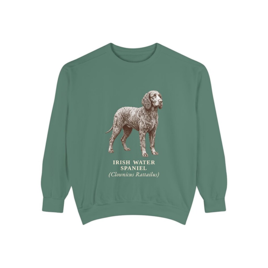 Irish Water Spaniel Latin Sweatshirt, Light Green, front view