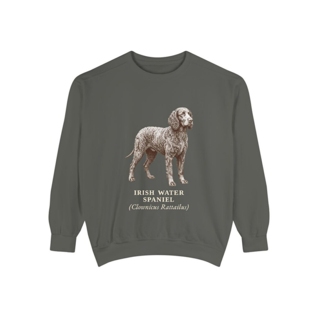 Irish Water Spaniel Latin Sweatshirt, Pepper, front view