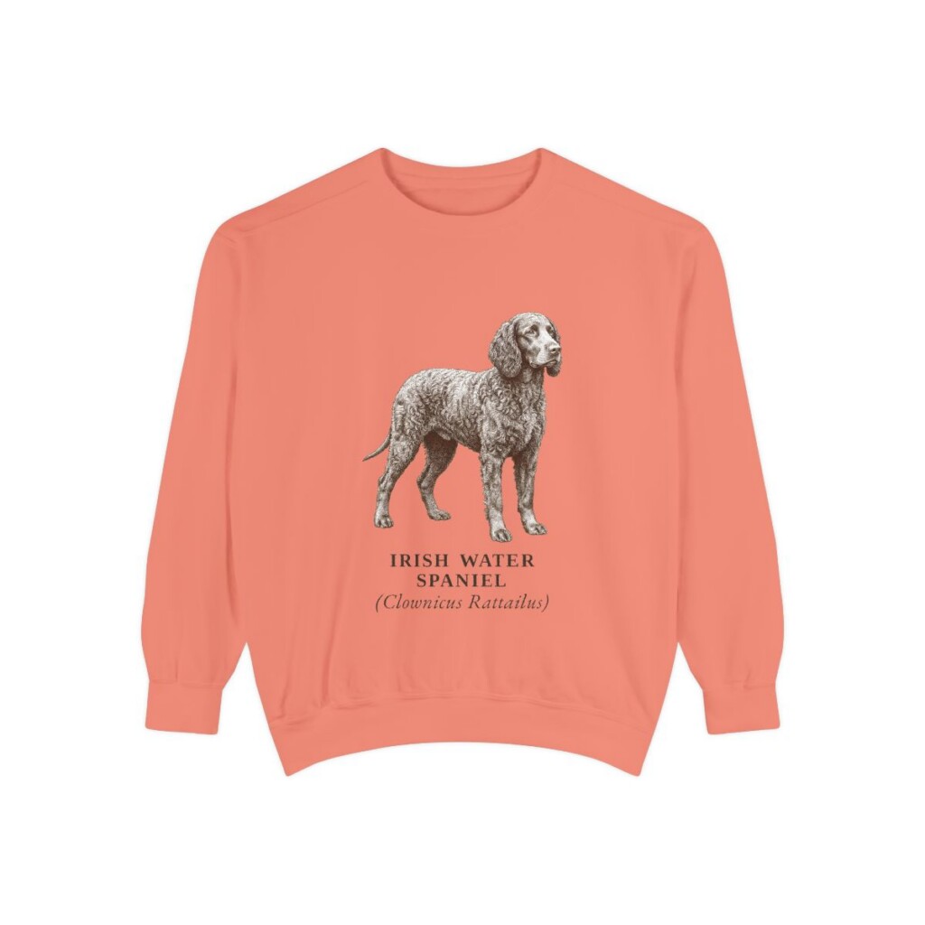 Irish Water Spaniel Latin Sweatshirt, Terracotta, front view
