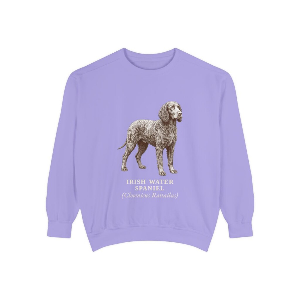 Irish Water Spaniel Latin Sweatshirt, Violet, front view