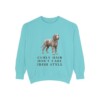 Irish Water Spaniel Humor Sweatshirt, Chalky Mint, front view