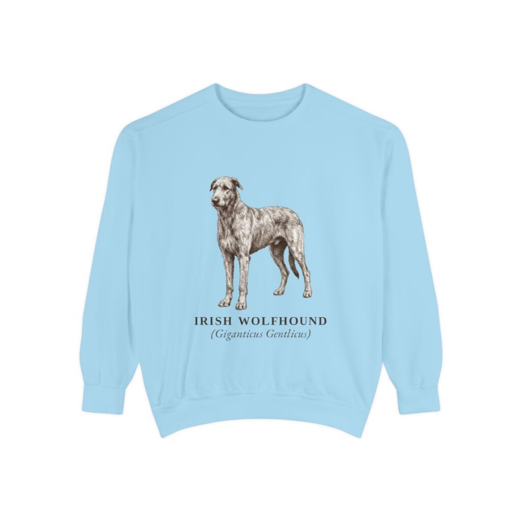 irish-wolfhound-sweatshirt-latin-chambray Irish Wolfhound Latin Sweatshirt, Chambray, front view