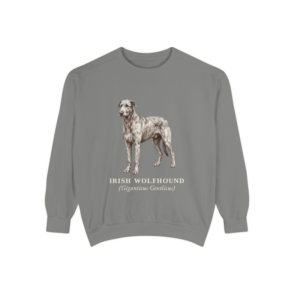 irish-wolfhound-sweatshirt-latin-grey Irish Wolfhound Latin Sweatshirt, Grey, front view